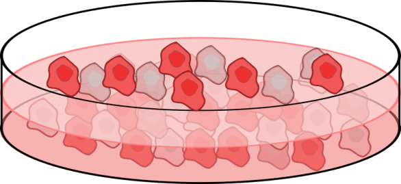 cell-culture2-800px