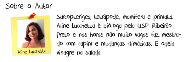 sobre-o-autor-aline