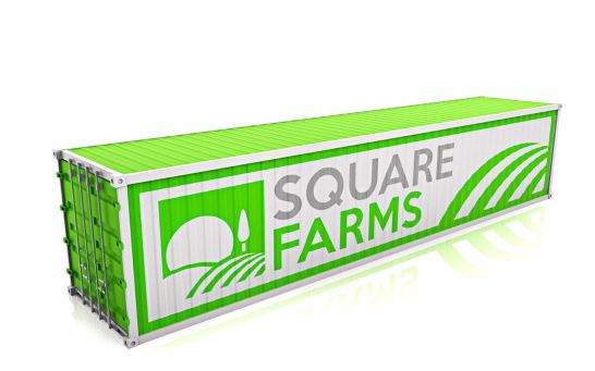 WhatsApp Image 2017-03-12 at 14.46.36